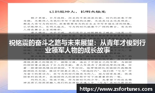 祝铭震的奋斗之路与未来展望：从青年才俊到行业领军人物的成长故事