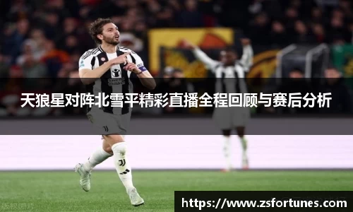 天狼星对阵北雪平精彩直播全程回顾与赛后分析