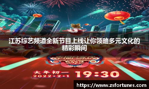 江苏综艺频道全新节目上线让你领略多元文化的精彩瞬间